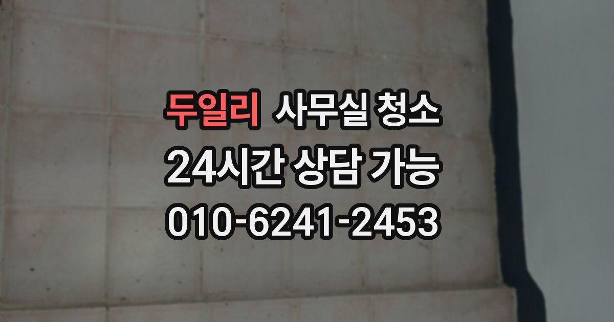 두일리 사무실 청소