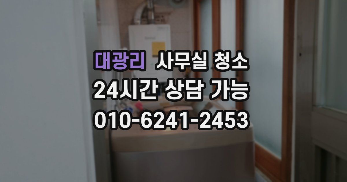 대광리 사무실 청소