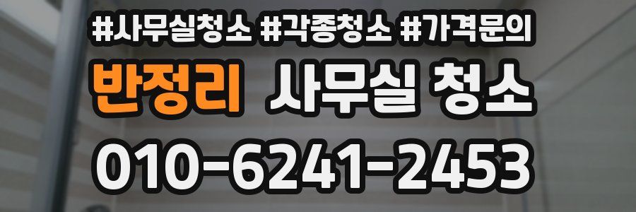 반정리 사무실 청소