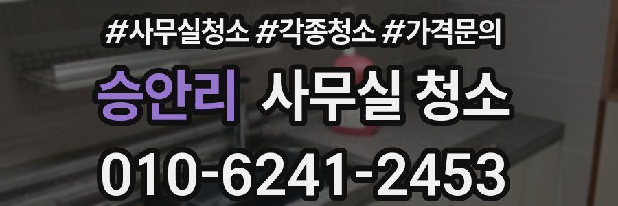 승안리 사무실 청소