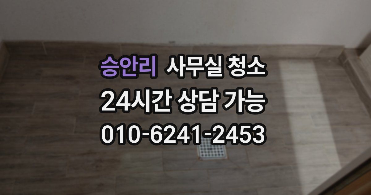 승안리 사무실 청소