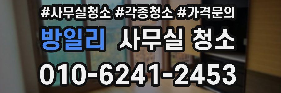 방일리 사무실 청소