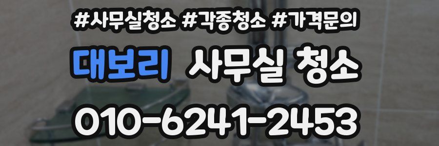 대보리 사무실 청소