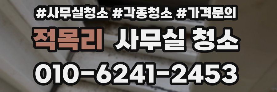 적목리 사무실 청소