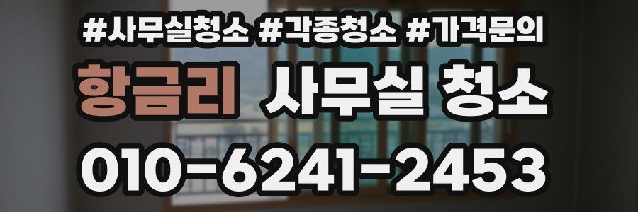 항금리 사무실 청소