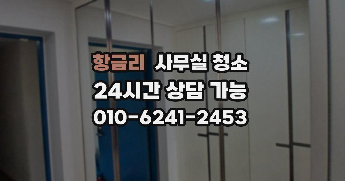 항금리 사무실 청소