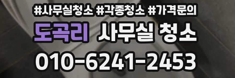 도곡리 사무실 청소