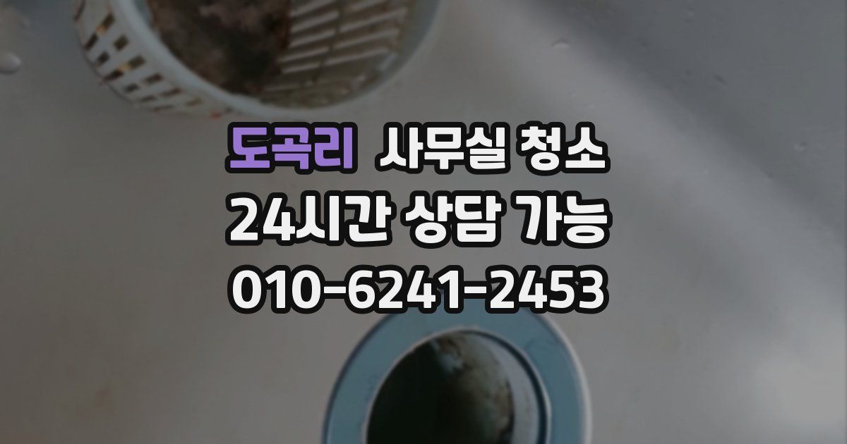 도곡리 사무실 청소
