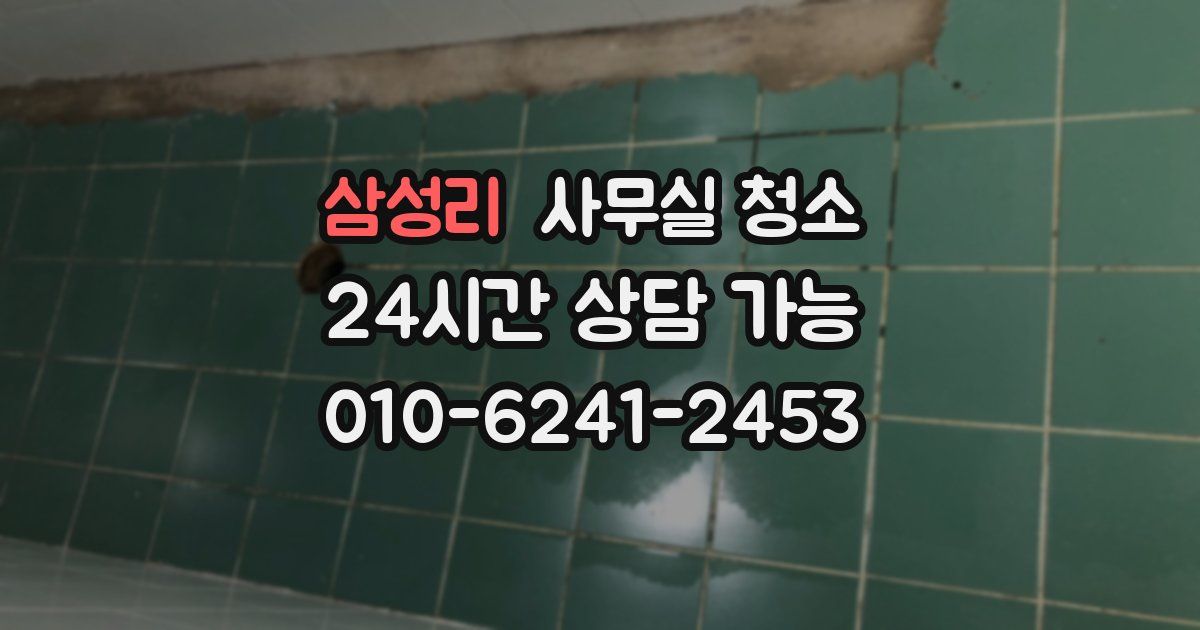 삼성리 사무실 청소