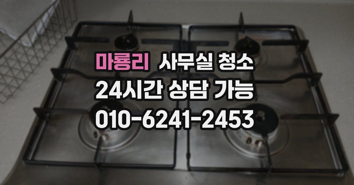 마룡리 사무실 청소