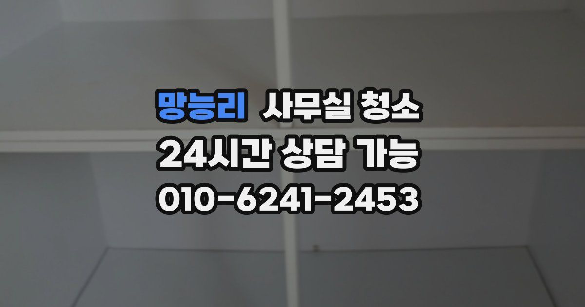 망능리 사무실 청소