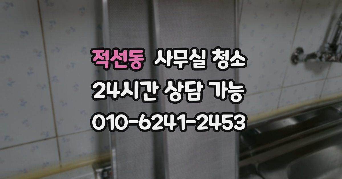 적선동 사무실 청소