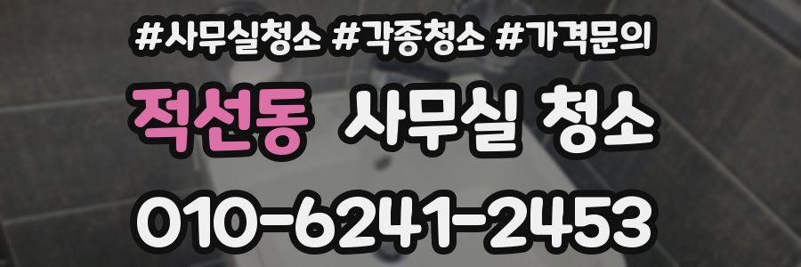 적선동 사무실 청소
