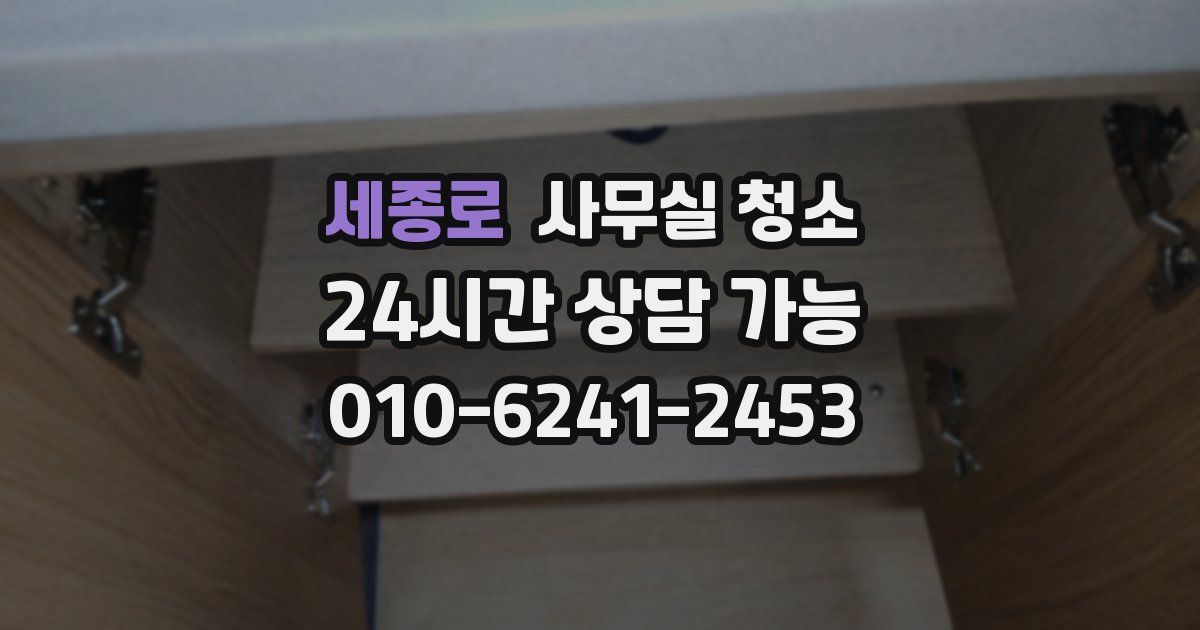 세종로 사무실 청소