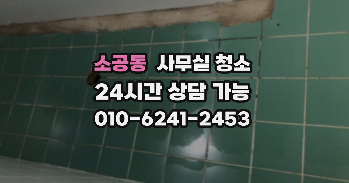 소공동 사무실 청소