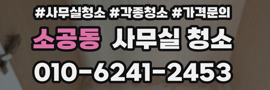 소공동 사무실 청소