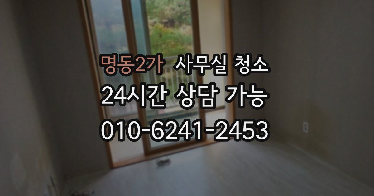 명동2가 사무실 청소
