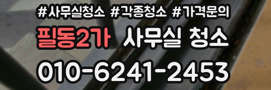 필동2가 사무실 청소