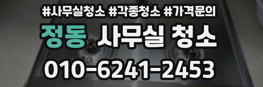 정동 사무실 청소