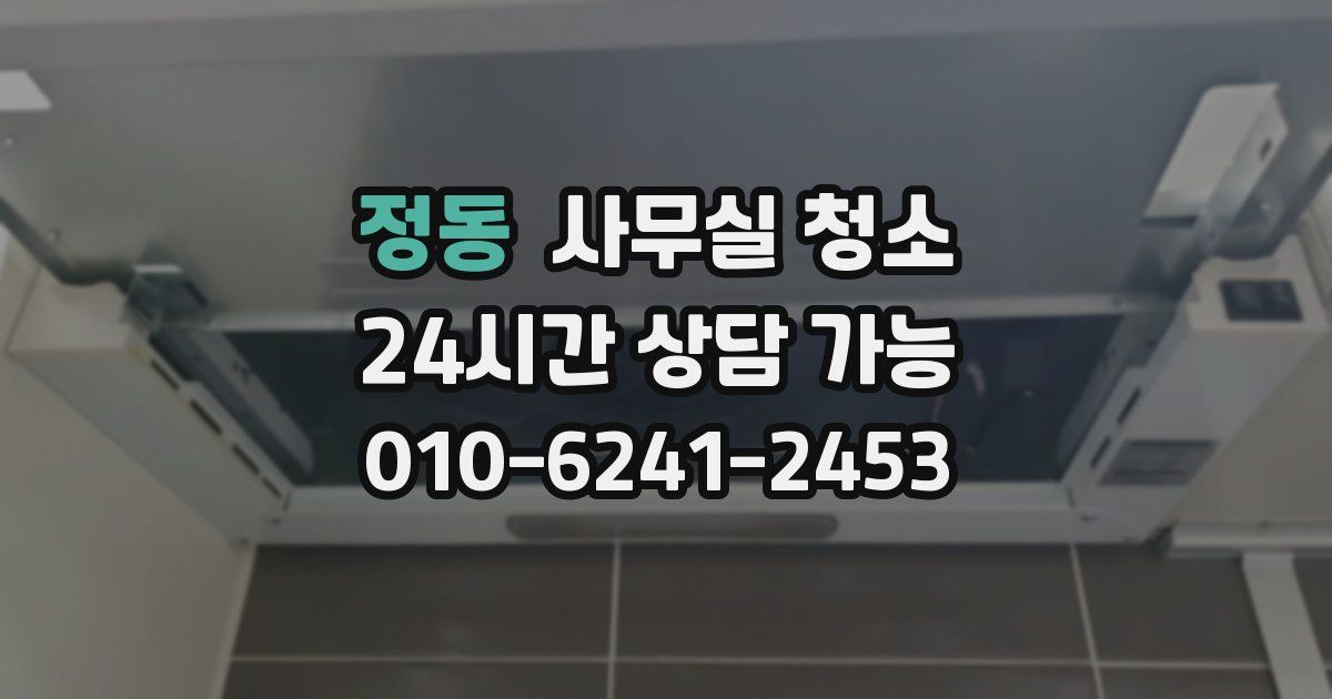 정동 사무실 청소