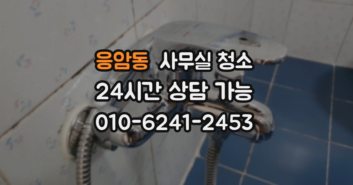 응암동 사무실 청소