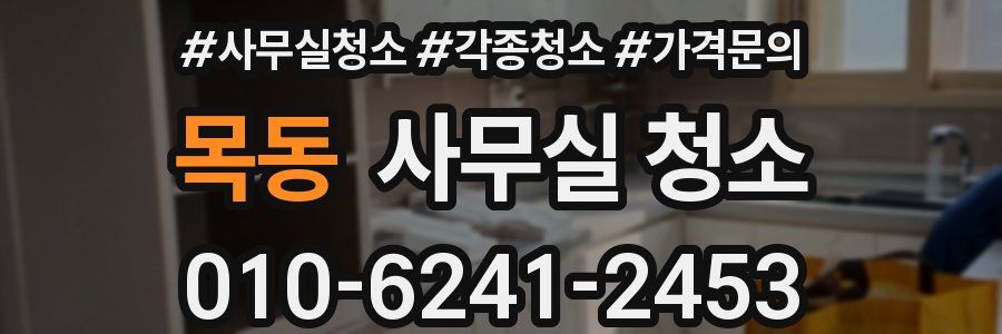 목동 사무실 청소