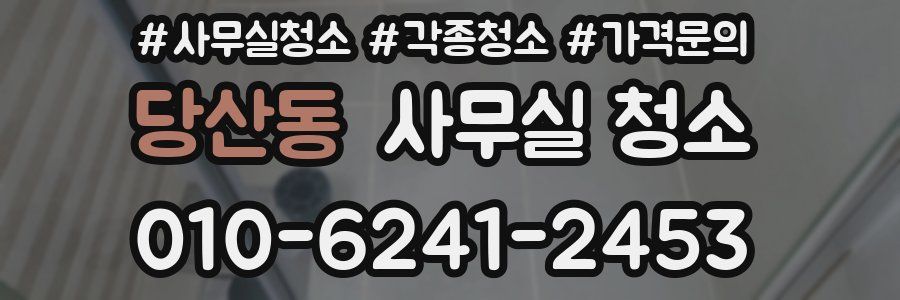 당산동 사무실 청소