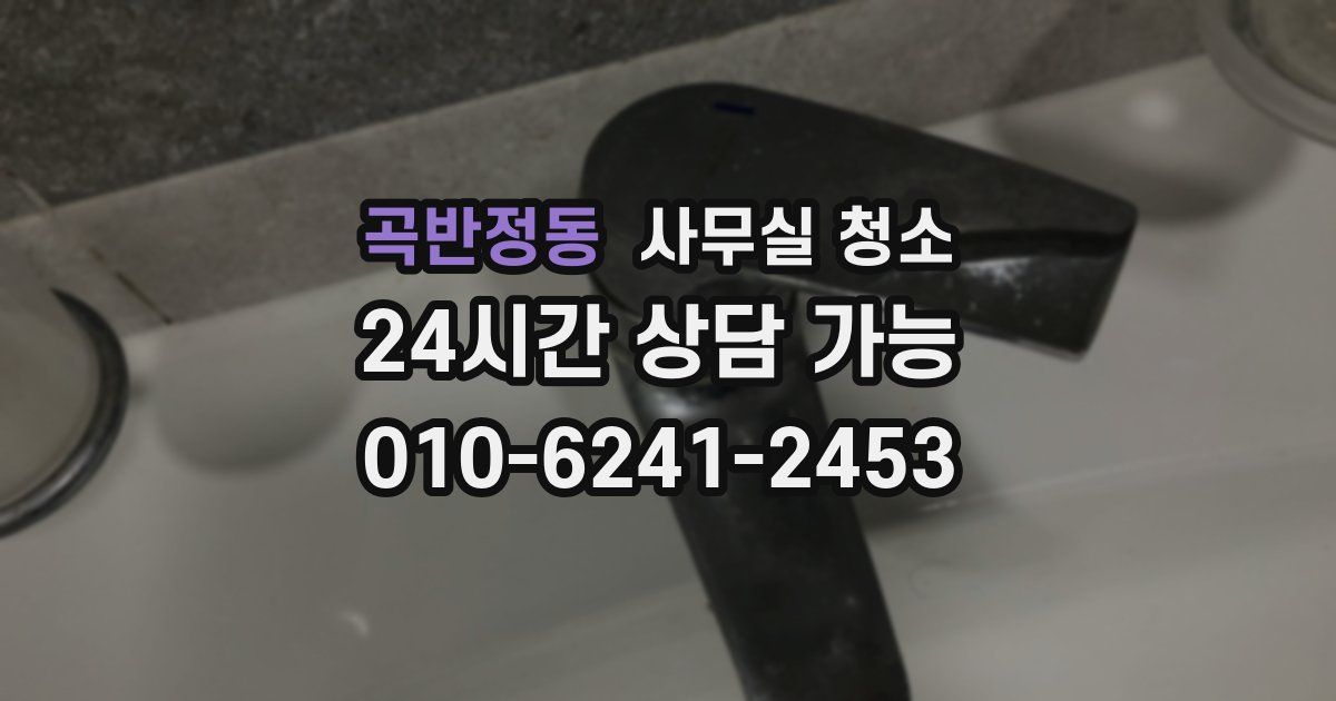 곡반정동 사무실 청소