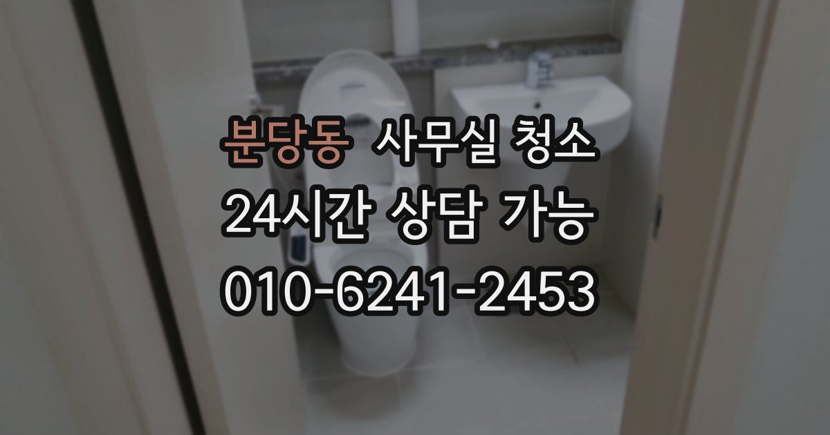 분당동 사무실 청소