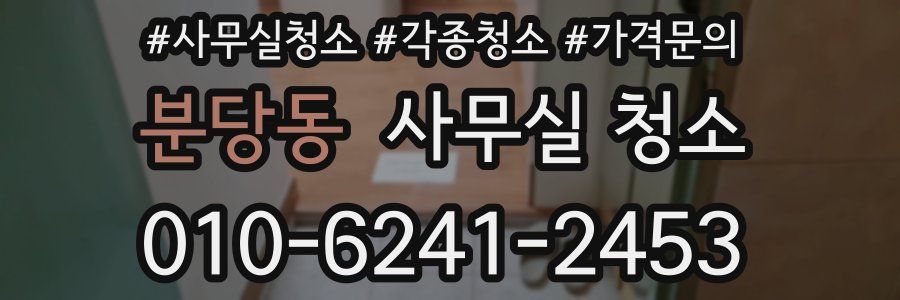 분당동 사무실 청소