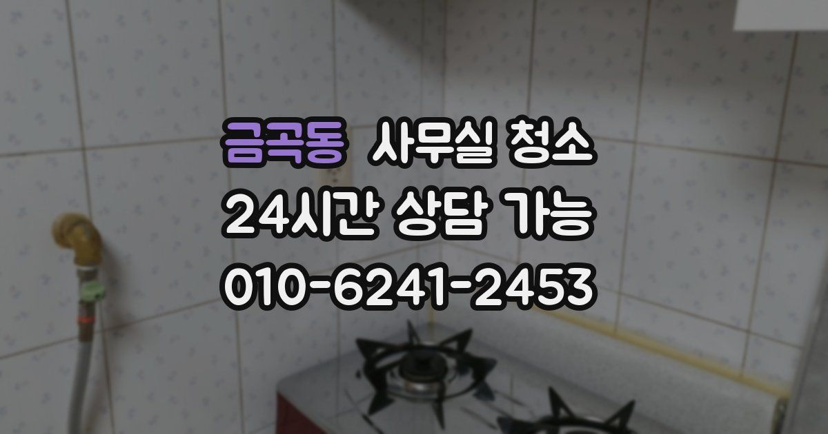 금곡동 사무실 청소