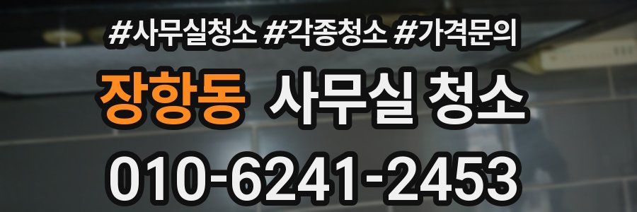 장항동 사무실 청소