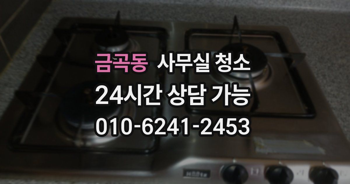 금곡동 사무실 청소