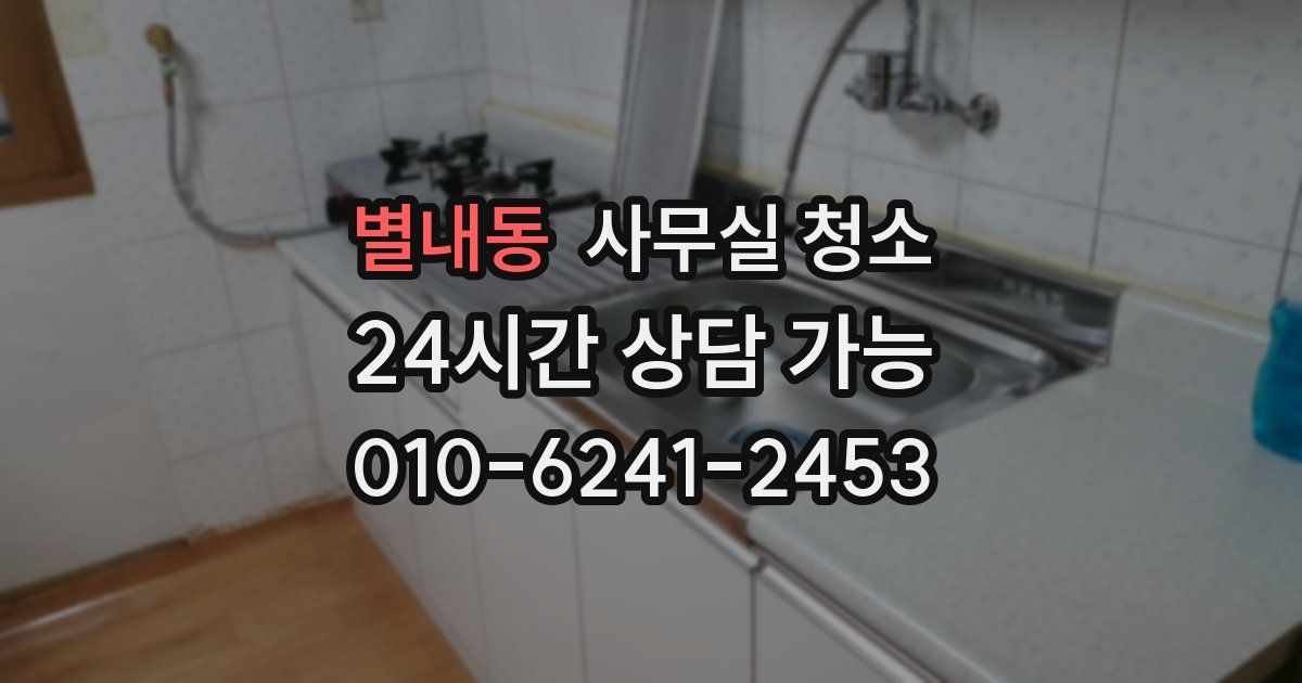 별내동 사무실 청소