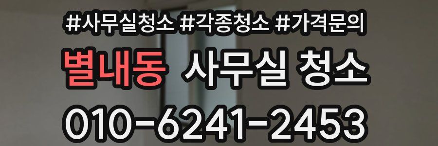 별내동 사무실 청소