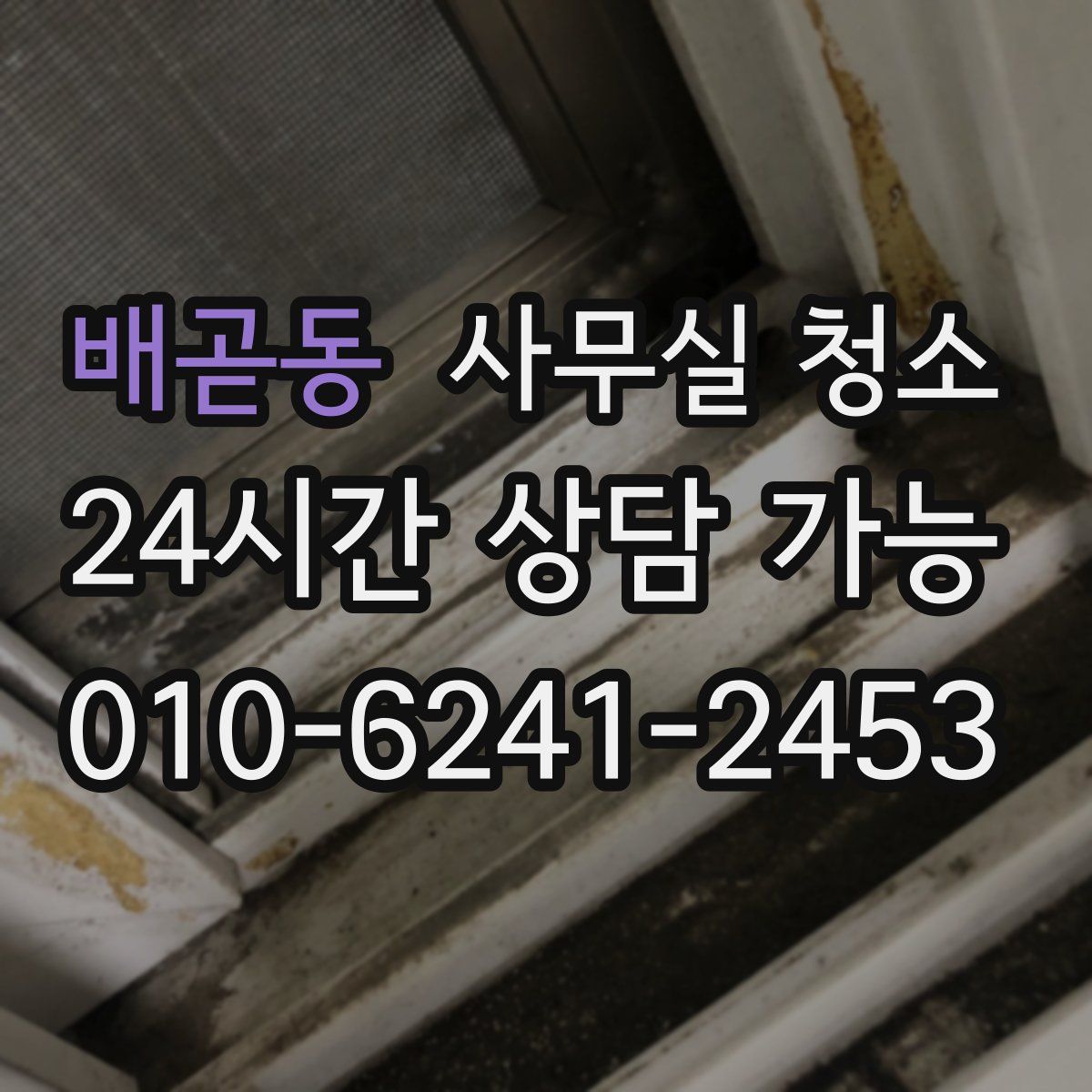 배곧동 사무실 청소