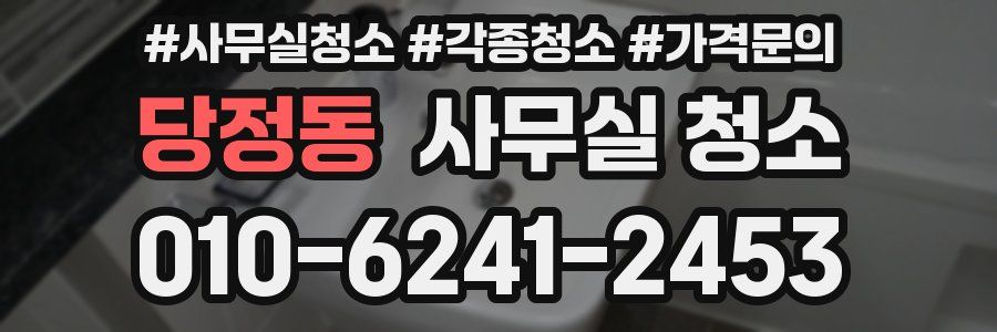 당정동 사무실 청소