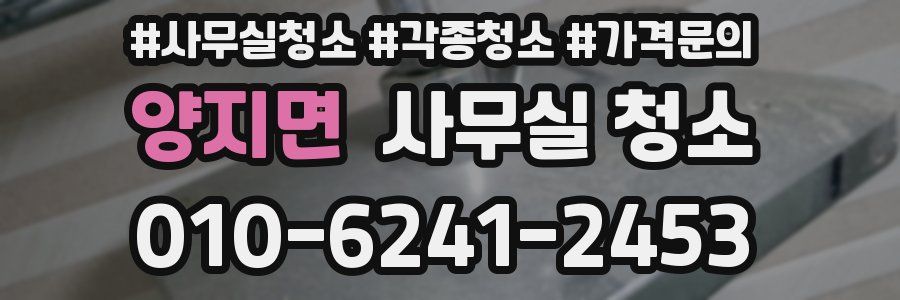 양지면 사무실 청소