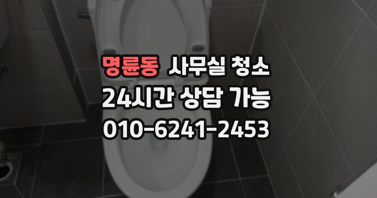 명륜동 사무실 청소