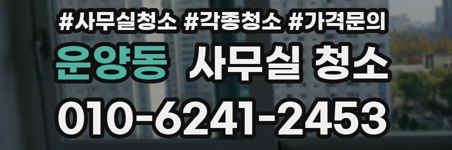 운양동 사무실 청소