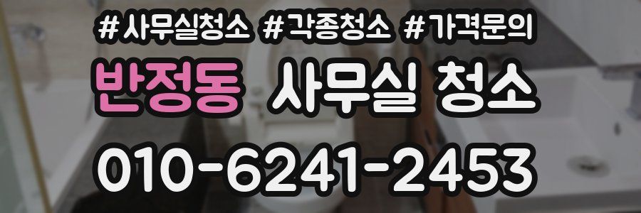 반정동 사무실 청소