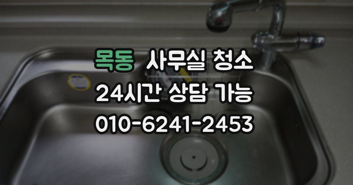 목동 사무실 청소