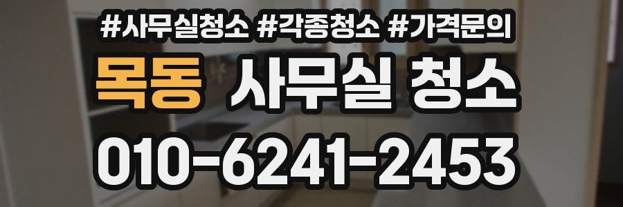 목동 사무실 청소