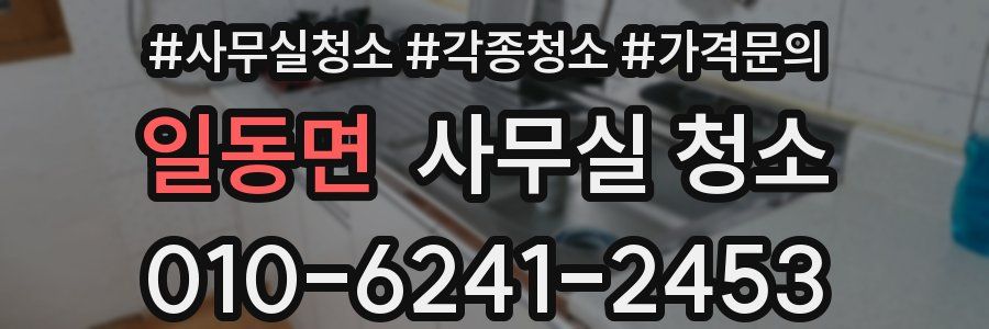 일동면 사무실 청소