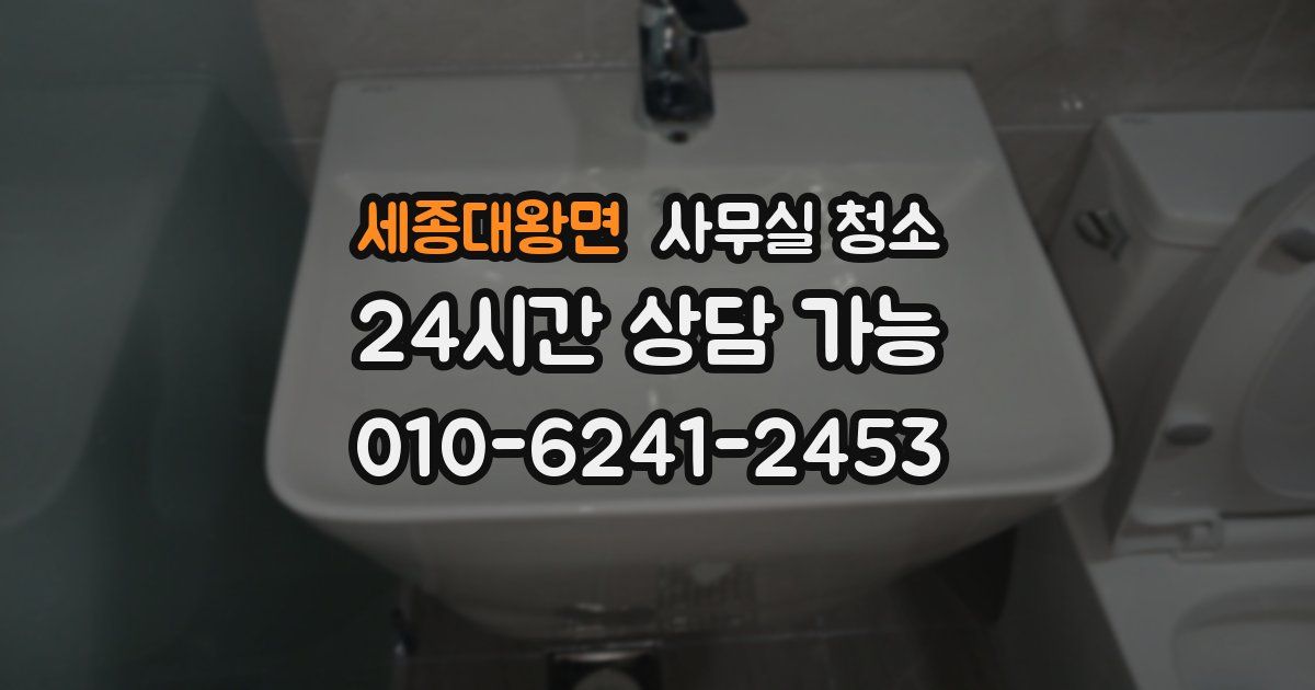 세종대왕면 사무실 청소