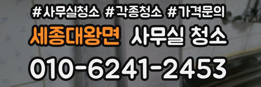 세종대왕면 사무실 청소