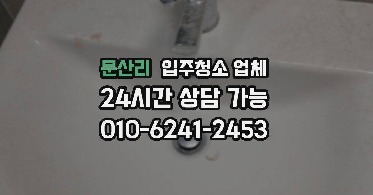 문산리 입주청소 업체