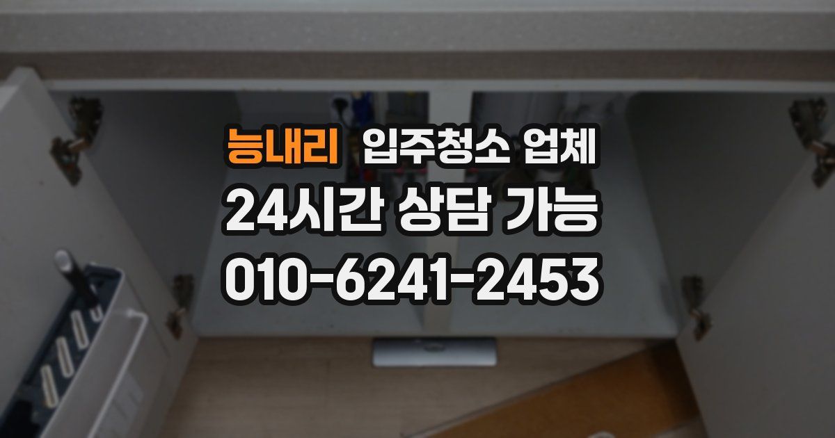 능내리 입주청소 업체