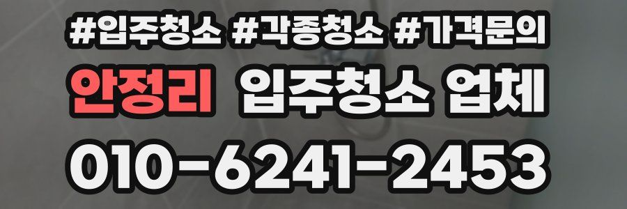 안정리 입주청소 업체