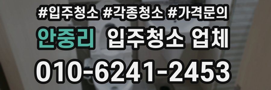 안중리 입주청소 업체